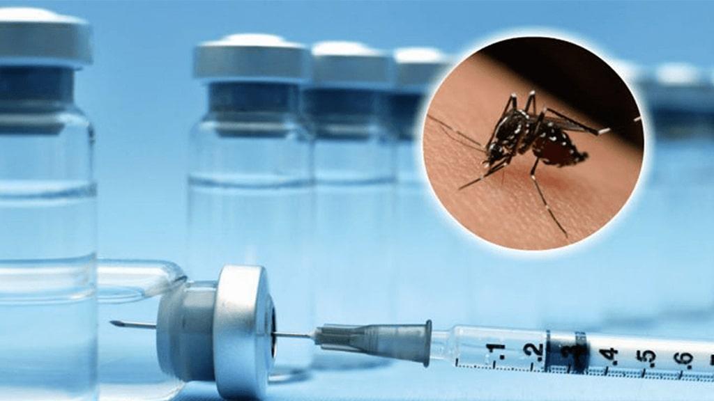 Farmácias Pague Menos e Extrafarma começam à fornecer vacina da dengue no Maranhão