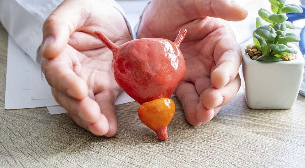 Região Nordeste do país lidera em crescimento de casos na comparação entre 2021 e 2022