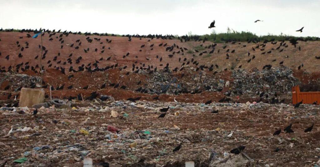Prefeitura de São Luís - MA deve identificar e cobrar empresas que usaram Aterro da Ribeira