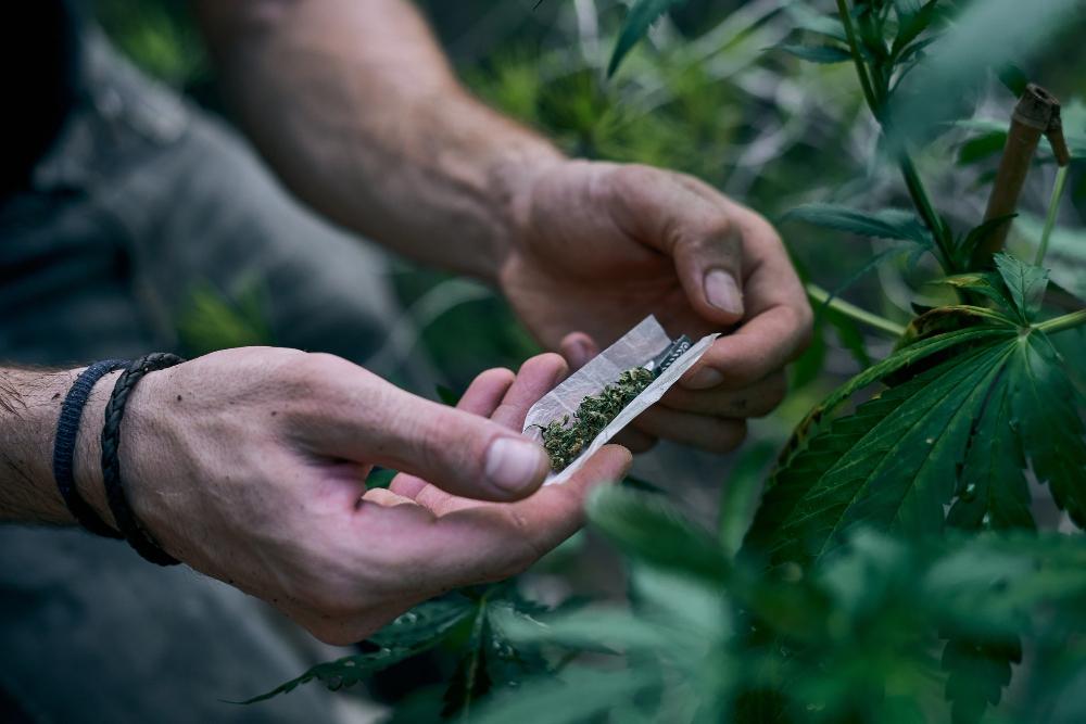 Decisão do STF anulará condenações e processos por porte de maconha, aponta criminalista