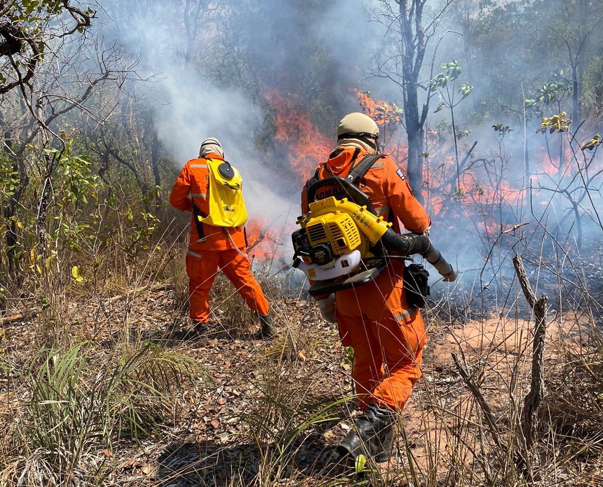 Maranhão Sem Queimadas registra mais de 9 mil focos de incêndio no Sul do Estado