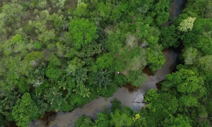 Iniciativa cobra compromisso de candidatos com a preservação do Cerrado em nova campanha